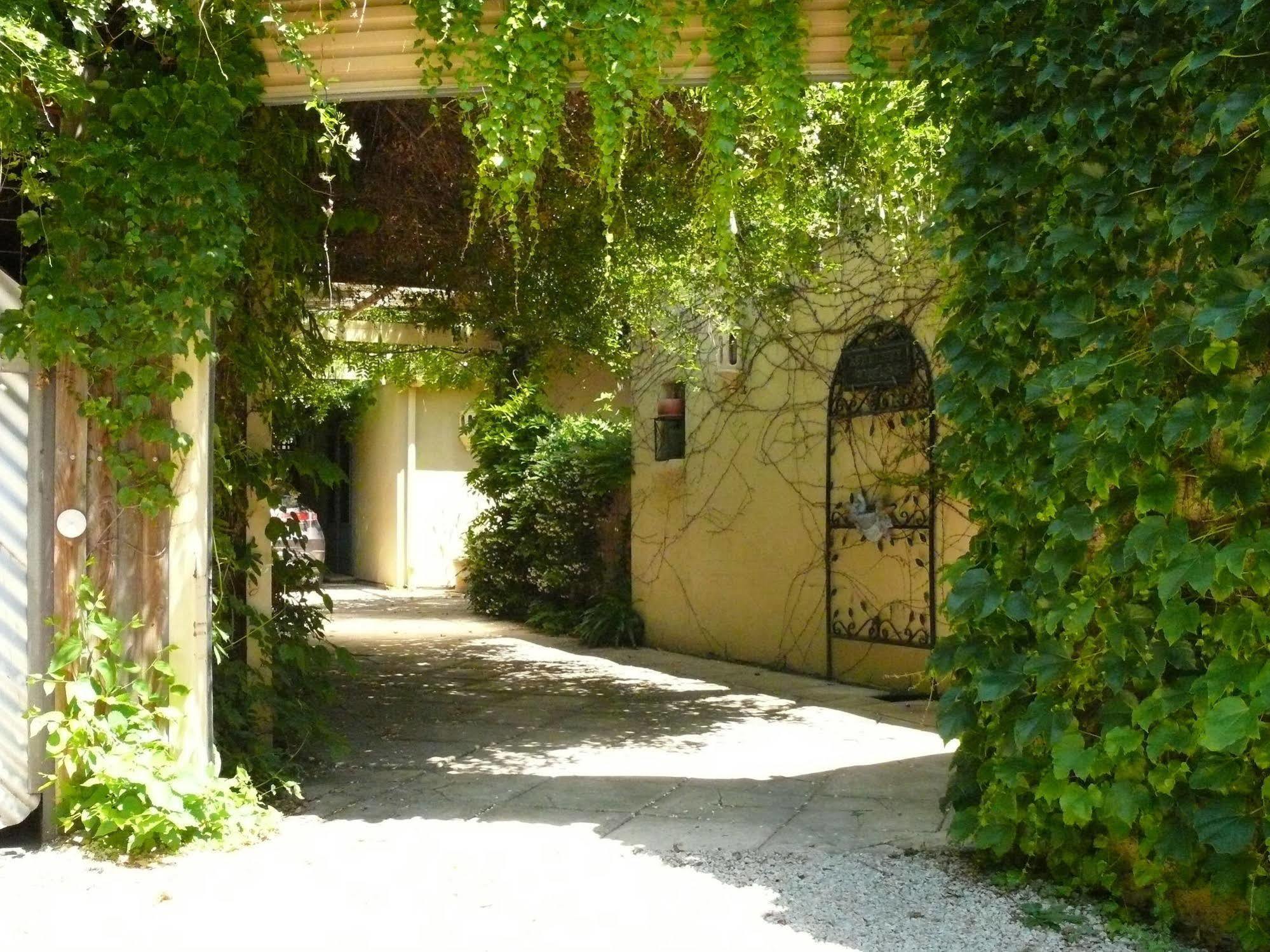 אדלייד Athelney Cottage Bed And Breakfast מראה חיצוני תמונה